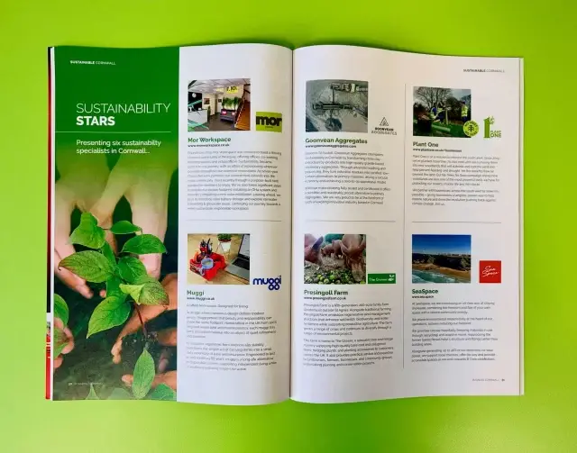 🌟SUSTAINABILITY STARS🌟

We’re delighted to be involved in the landmark 200th edition of the @businesscornwall magazine, within the ‘Sustainable Cornwall’ feature we sit amongst other local specialists as ‘Sustainability Stars’! 

As a small, independent business being sustainable sits at the heart of what we do, it drives our vision to move forward and continue growing a green workspace💚

#sustainability #sustainableworkplace #businesscornwall #newquay #morworkspace